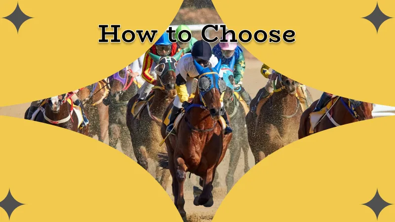 How to Choose the Best Horse Racing Betting Site in Australia