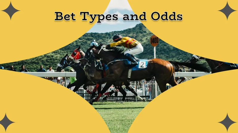 Popular Horse Racing Bet Types and Odds Explained